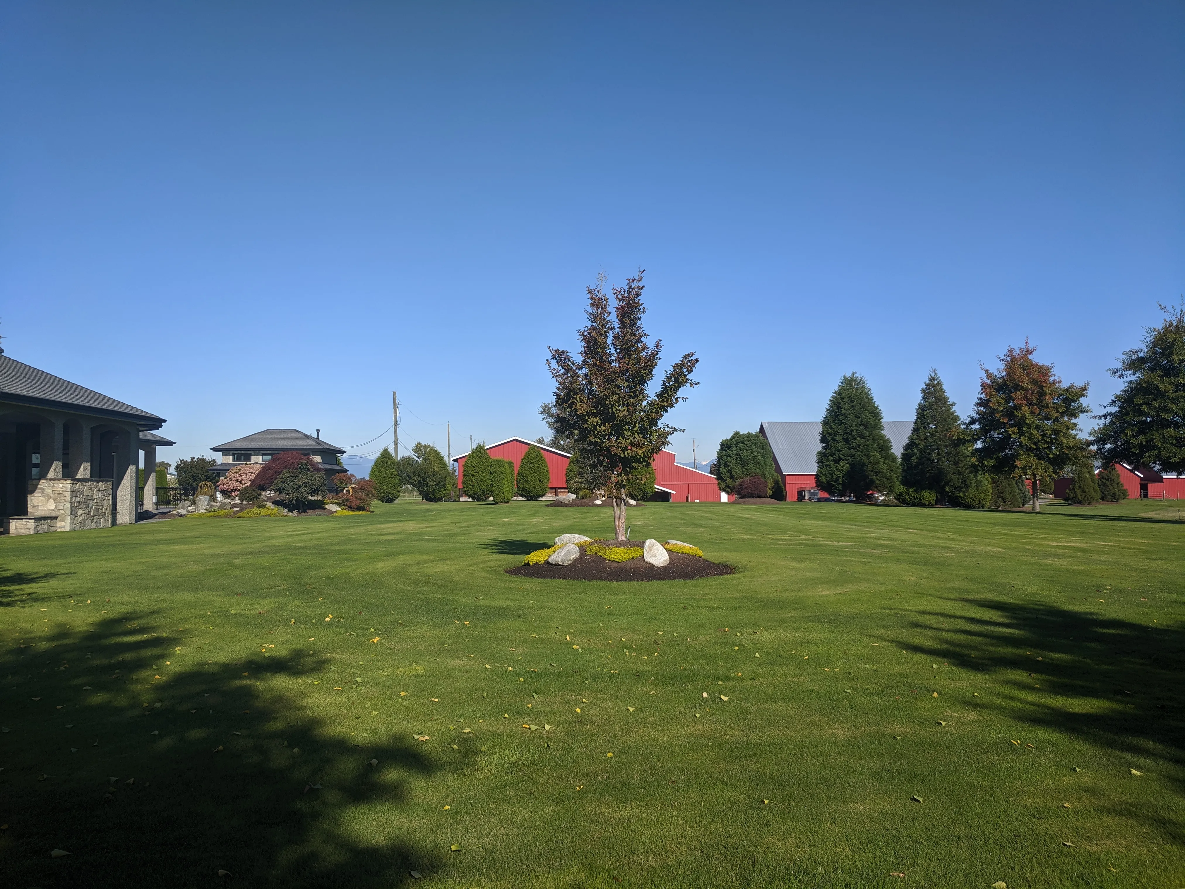 mowing-banner-farm.webp
