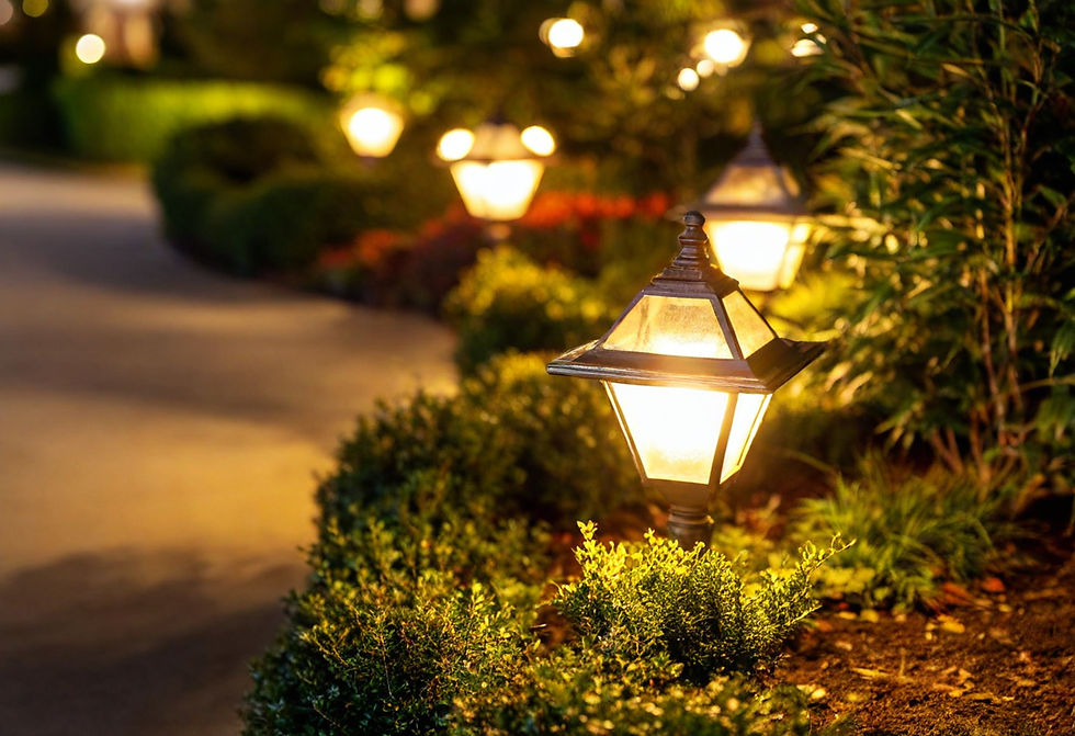 One or more landscap light bright in the garden . light colour is yollows in night.