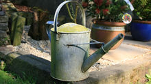 River-Friendly Gardening for Tenants and Owners