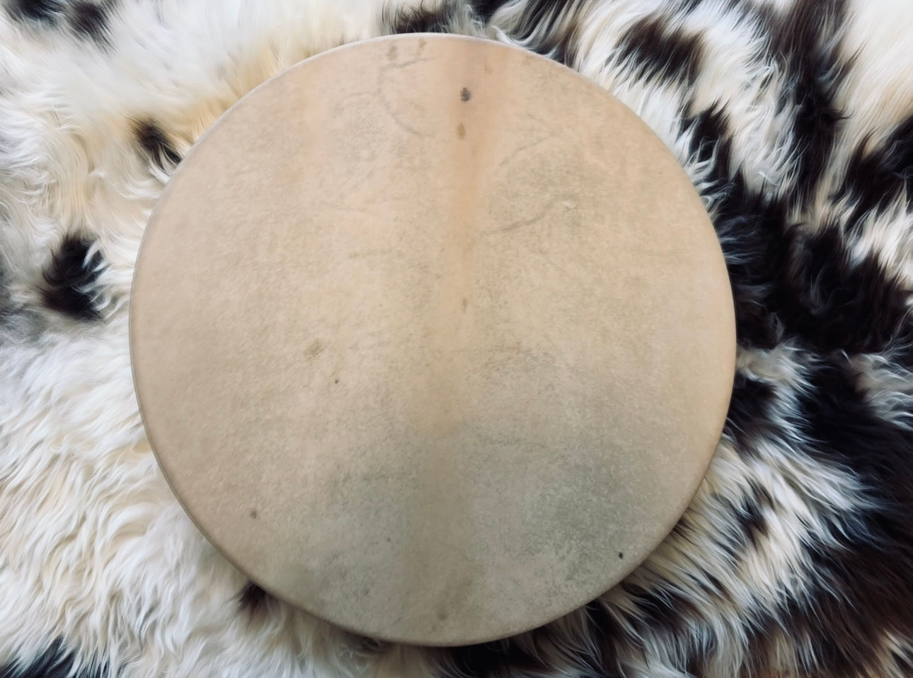 16” Red Deer & Oak