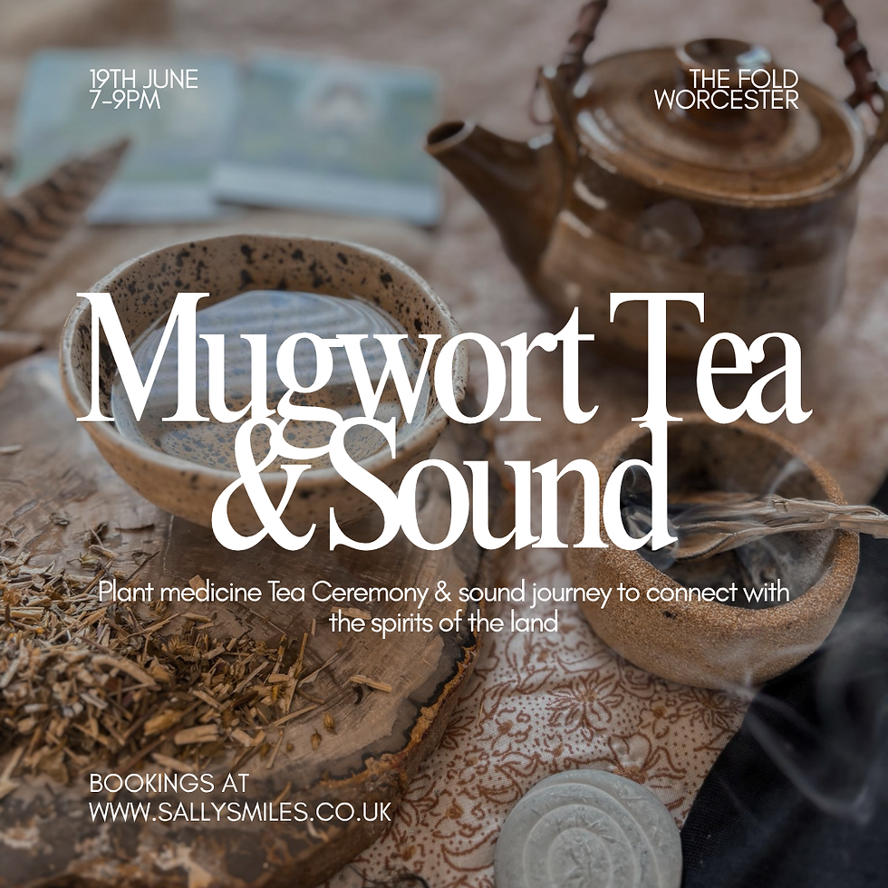 Plant Spirit Sound Journey: Mugwort