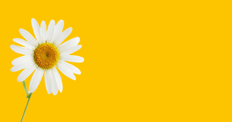 Melissa - Website live (1).png