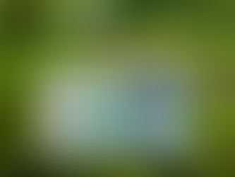 Friends Subscriptions - a Reminder