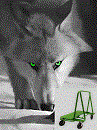 wolf gray green large cart 130x.gif