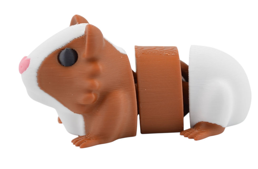 Thumbnail: Guinea Pig