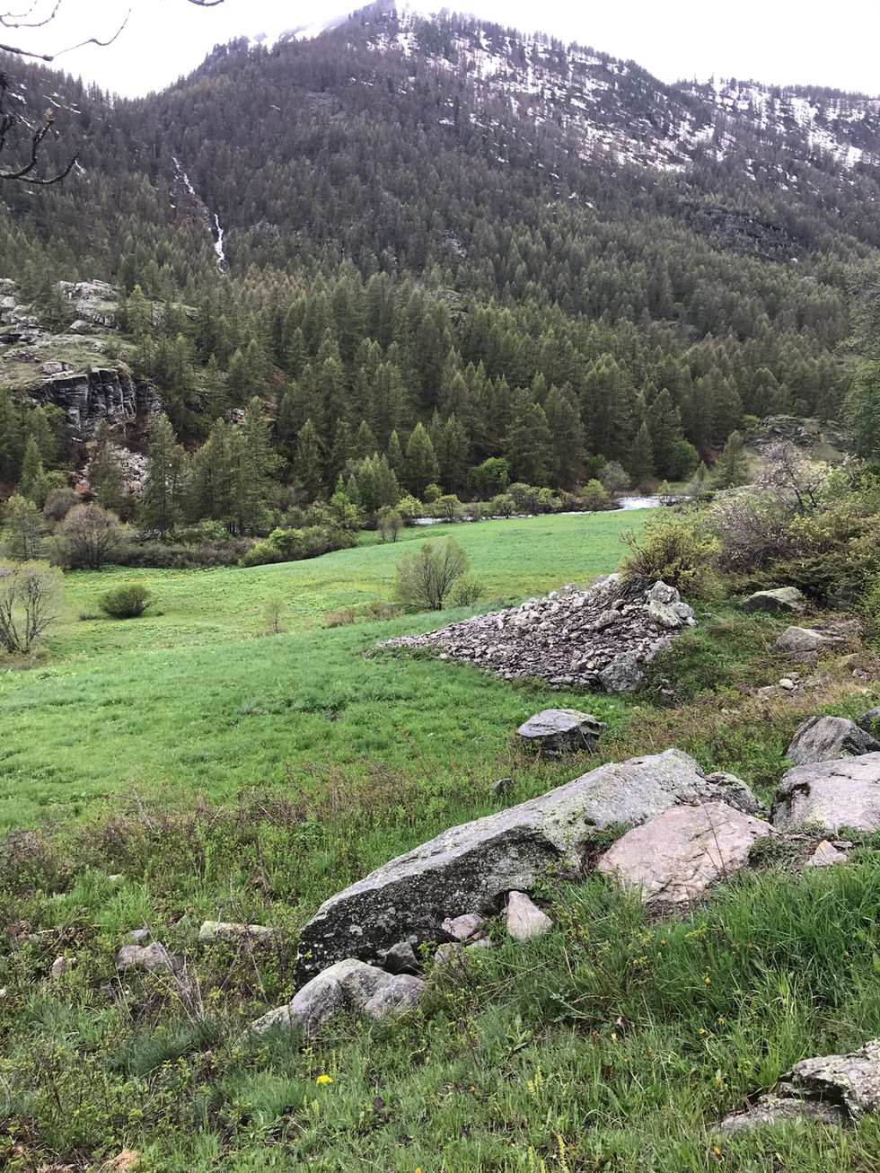 IMG_9087.jpeg