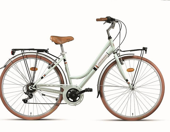 Rent Bike| Rent eBike I Bike Tours I Self guided with Gpx