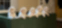 E125776B-F9EB-4864-9729-88FEFEBD8291_1_201_a.jpeg