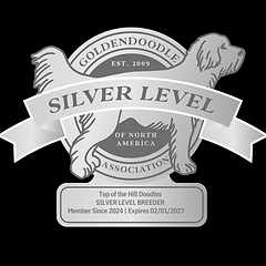top of the hill-2 silver logo_edited.png