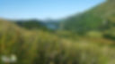 Soft rush long grass, lake, campsite, mountains, forest, trees