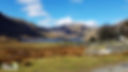 sheep, lake, mountains in Snowdonia