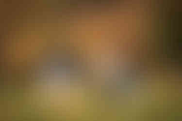 Family Portraits Delray Beach Florida