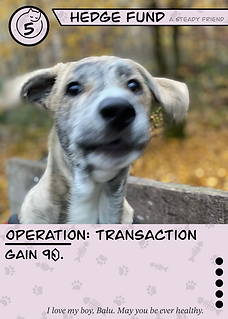 Daily_Doggos 11.png