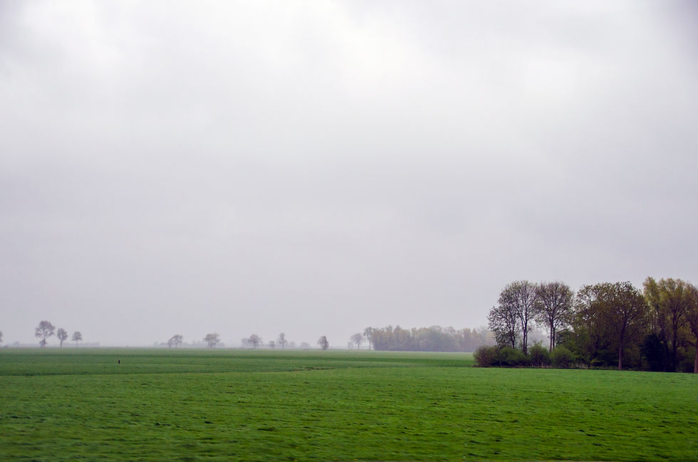MORNING MIST FRIESLAND 2015