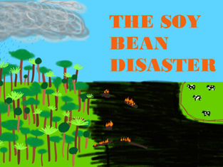 THE SOYBEAN DISASTER