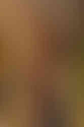 imagej00052