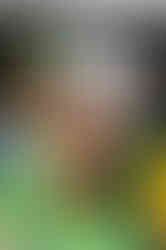 image00018
