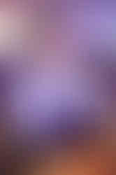_MG_0367