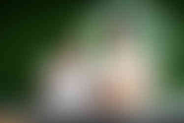 DSC_2990