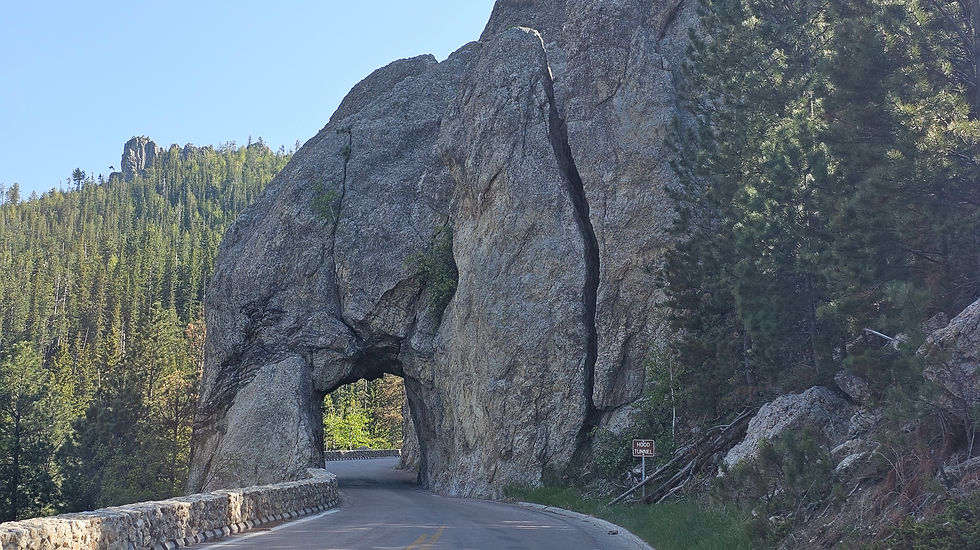 Passing through one of the rock faces on Needles Highway.