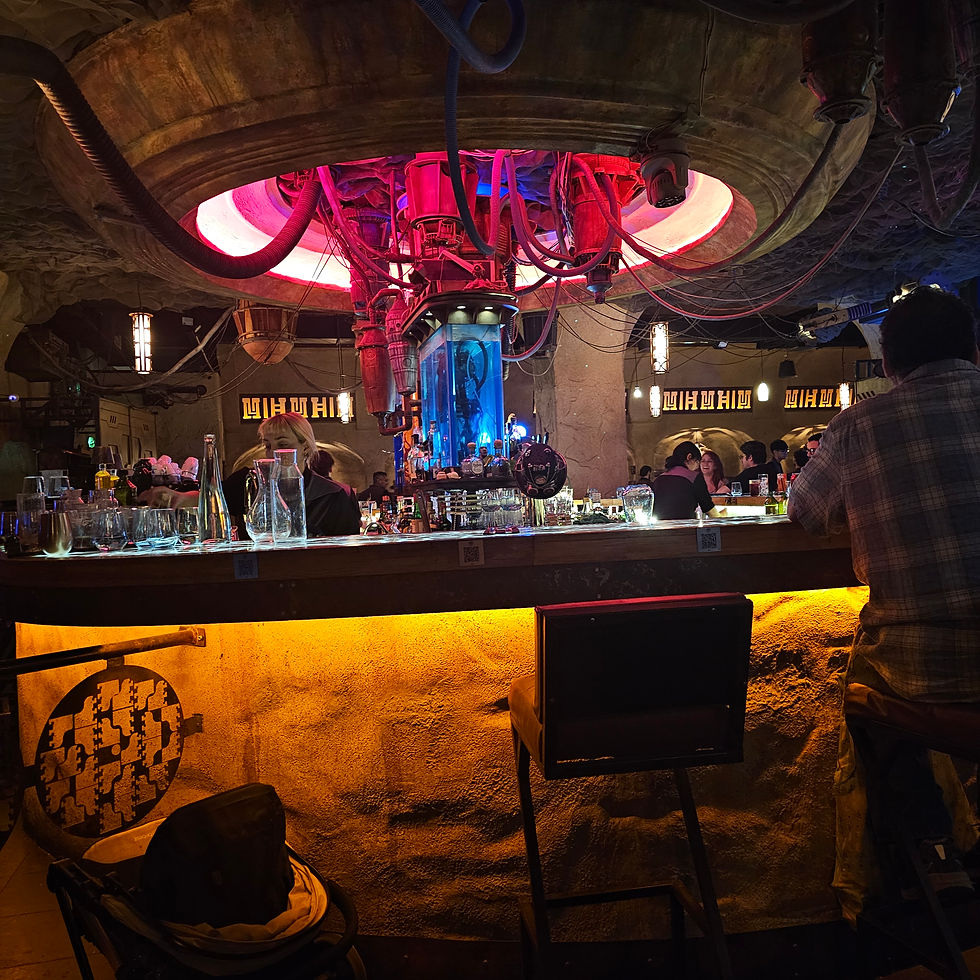 Star Wars themed bar located in "Nowa's Cantina".