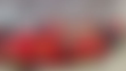 Review of the United States ("Number one at saying number one")