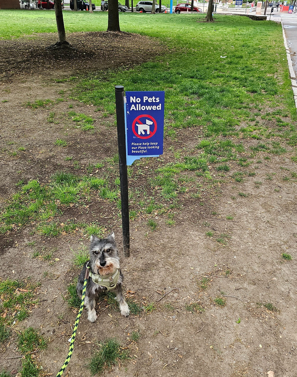 The city wasn't very dog friendly. Hard to find any green space in the city. Even the green spaces that did exist didn't want dogs. Made Bruce sit in front of this sign as an act of rebellion as we walked 8 or so blocks to get here just to discover he wasn't allowed.