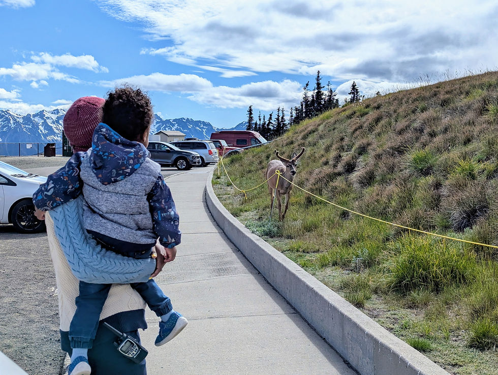 A buck walking right by our car and me holding Atlas so that he doesn't scare the buck away.