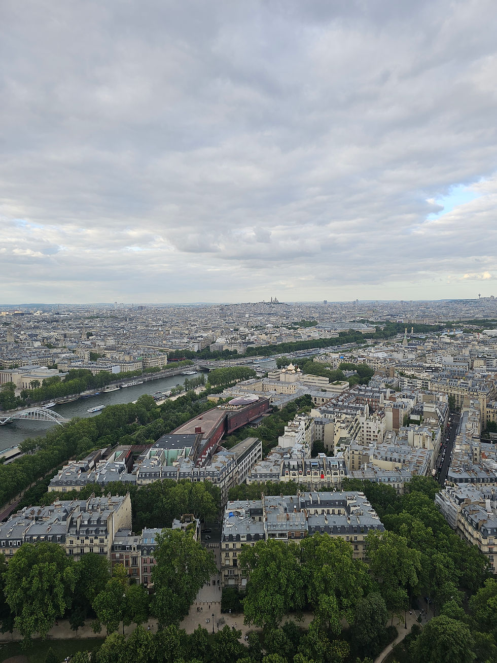 Another View of Paris from the Eiffel Tower.