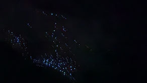 New Zealand - Waitomo, Hobbiton, Rotorua