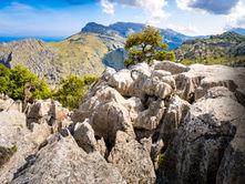 Wandern im Tramuntana-Gebirge – Ein Abenteuer für die Seele!