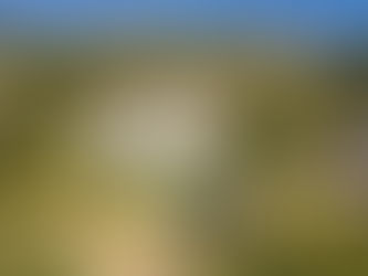 Atemberaubende Luxusvilla in prestigeträchtiger Lage | Benahavis