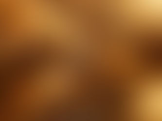 Lizenz für…Glanzvolle Erfolge