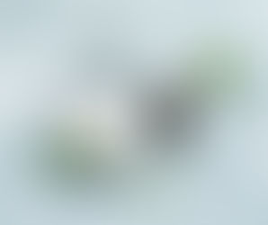 Das kostbare Erbe des Meersalzes - von Portugals Küsten