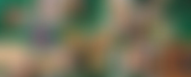 Genussvolle Entdeckungen: Die kulinarische Vielfalt Mittelamerikas