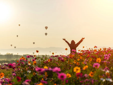 Lizenz für…Sommererfolg