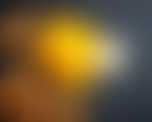 Kurkuma – die goldene Wurzel mit großer Wirkung