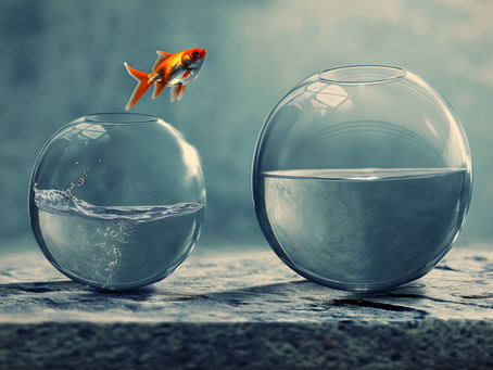 Lizenz für...Veränderung 