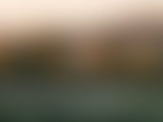 Radicondoli: Ein Verstecktes Juwel in der Toskana