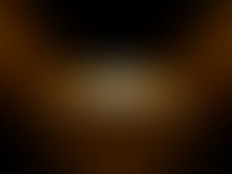 Der Oscar der Immobilienbranche geht an uns!    