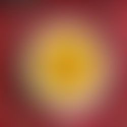 Bait al Luban - Ein Genuss der omanischen Küche