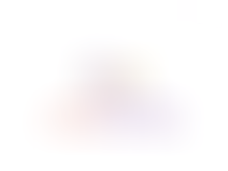 MINDBLOOM project's Conference