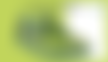 RCS Platform – a step forward the footwear sustainability