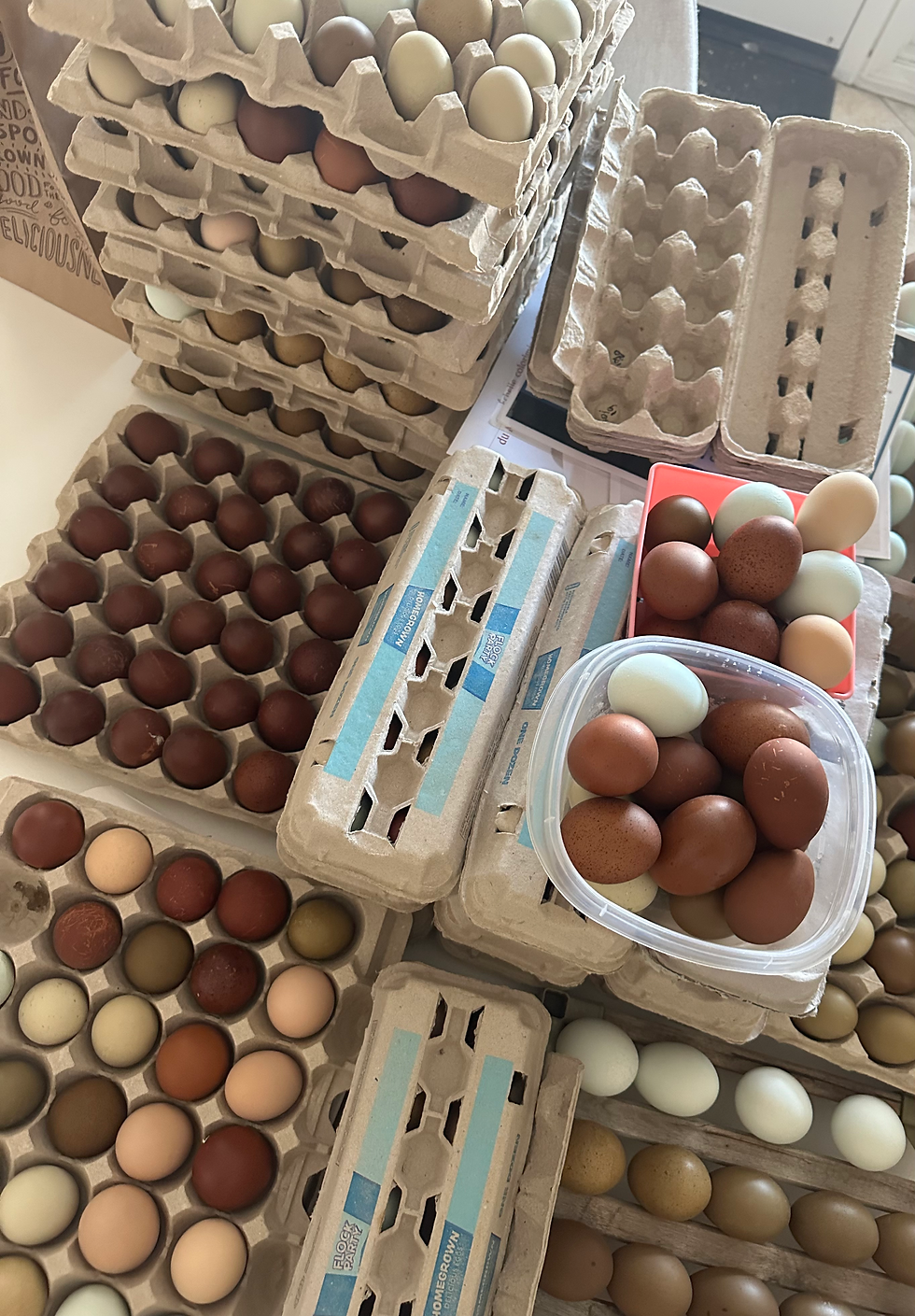 A table full of colored chicken eggs