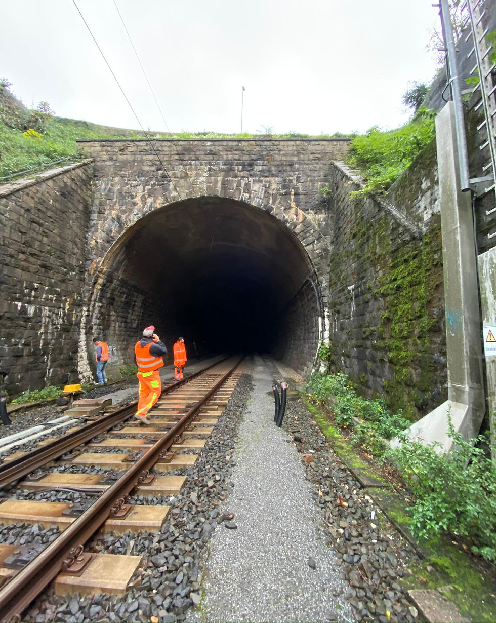 WhatsApp Image 2025-11-15 at 15.41.12 (1).jpeg