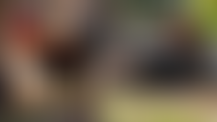 Black Copper Marans Cockerel and Pullet