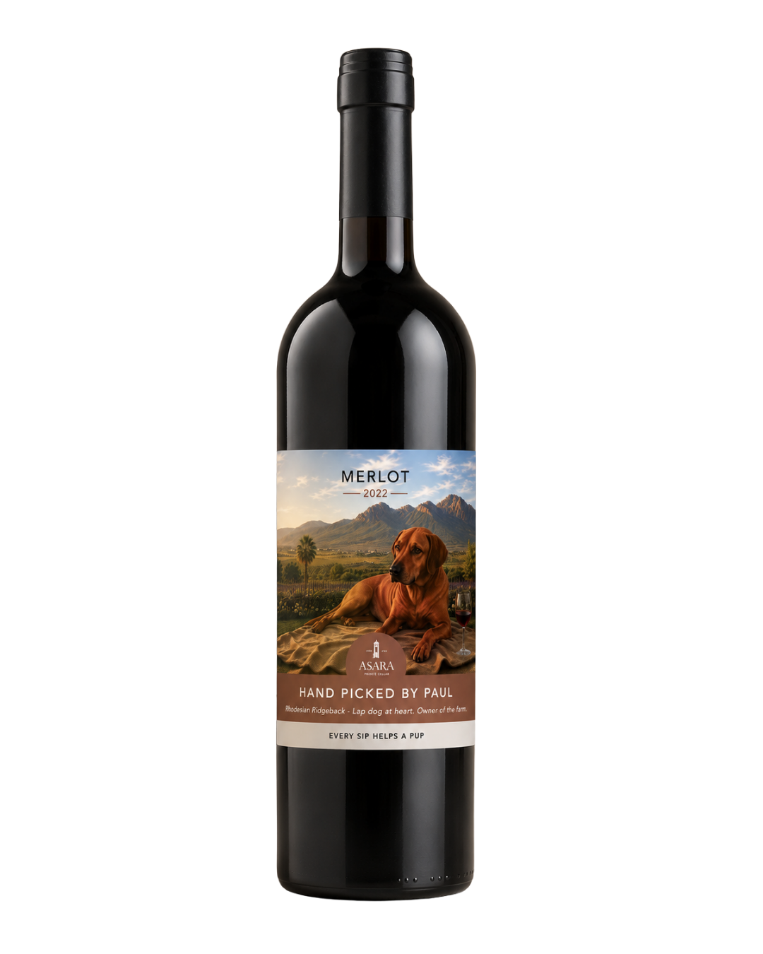 Drinking With Purpose Merlot 2022