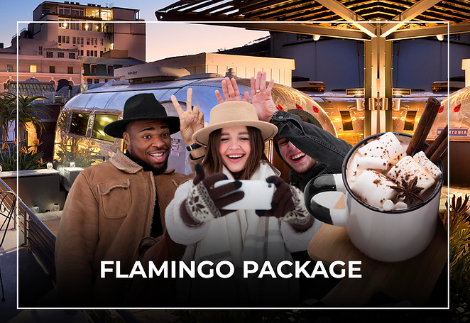 Flamingo Package_socials-03.jpg