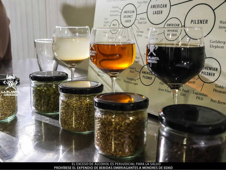 Cebada colombiana: El reto de producir ingredientes locales de alta calidad. www.lapantacerveceria.com