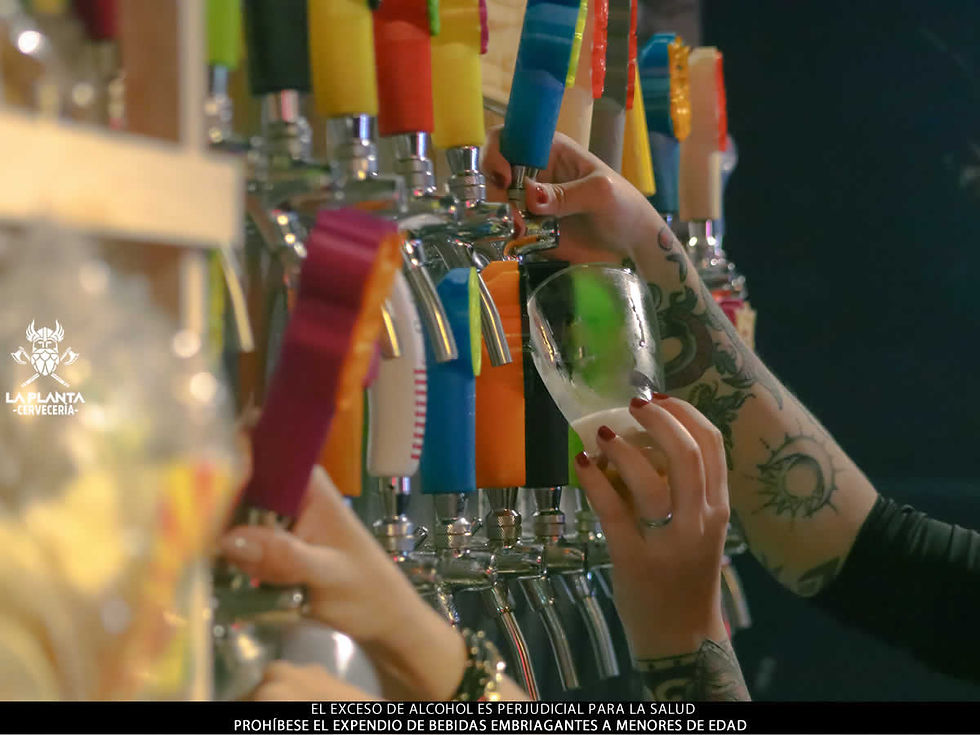 5 tipos de polas de La Planta deberías probar al menos una vez. www.laplnatacerveceria.com